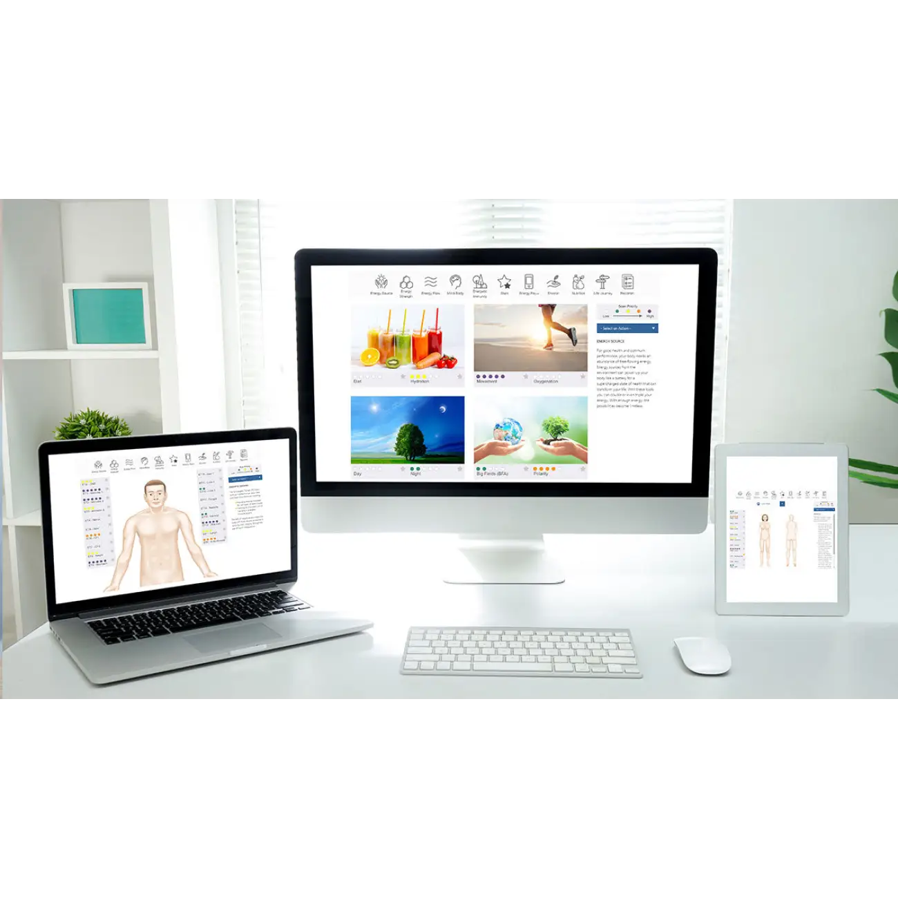 Nervous System Mapping & Bioenergetic Health Evaluation displayed on multiple screens in a bright workspace.