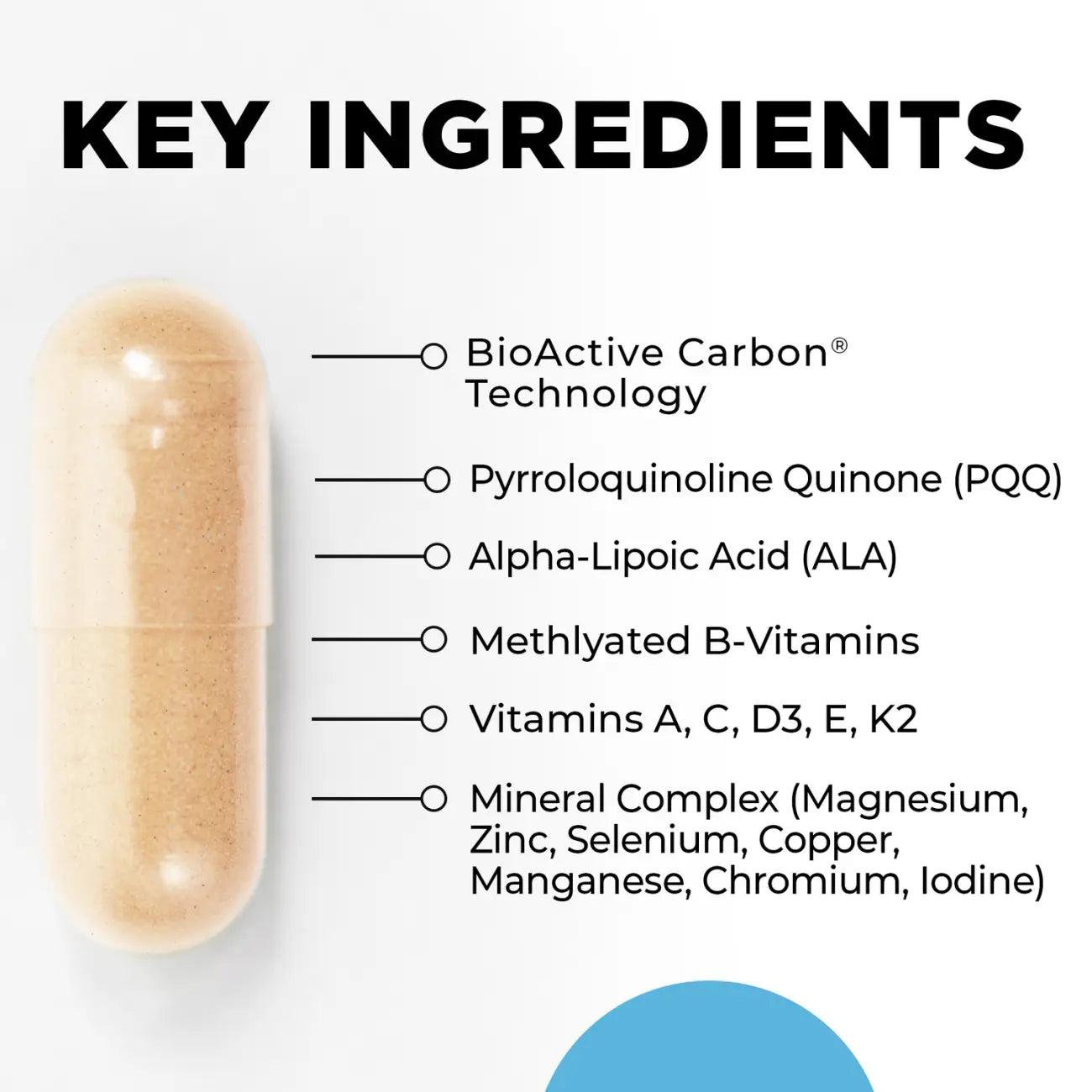 CellCore Core Nutrients 120 ct