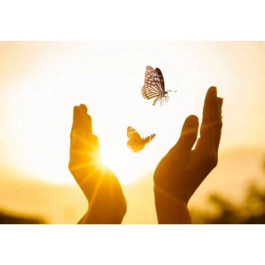 Personal Transformation Coaching: Empower Your Growth & Change Your Life