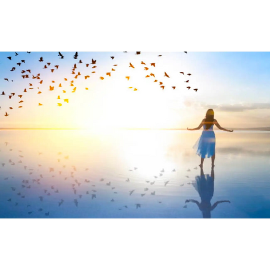 ReBalance Overcome Limiting Beliefs Online Program