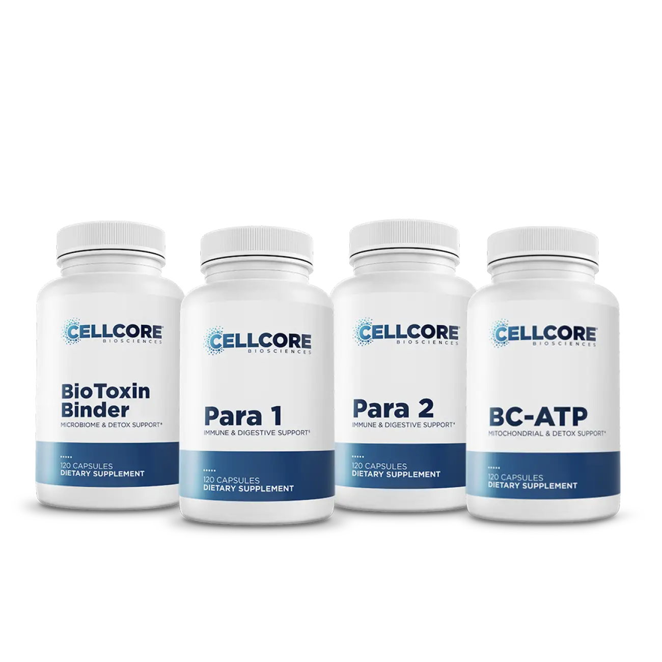 Step 2: Gut & Immune Support